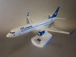 B737-800 IT COMPANY scala 1_100